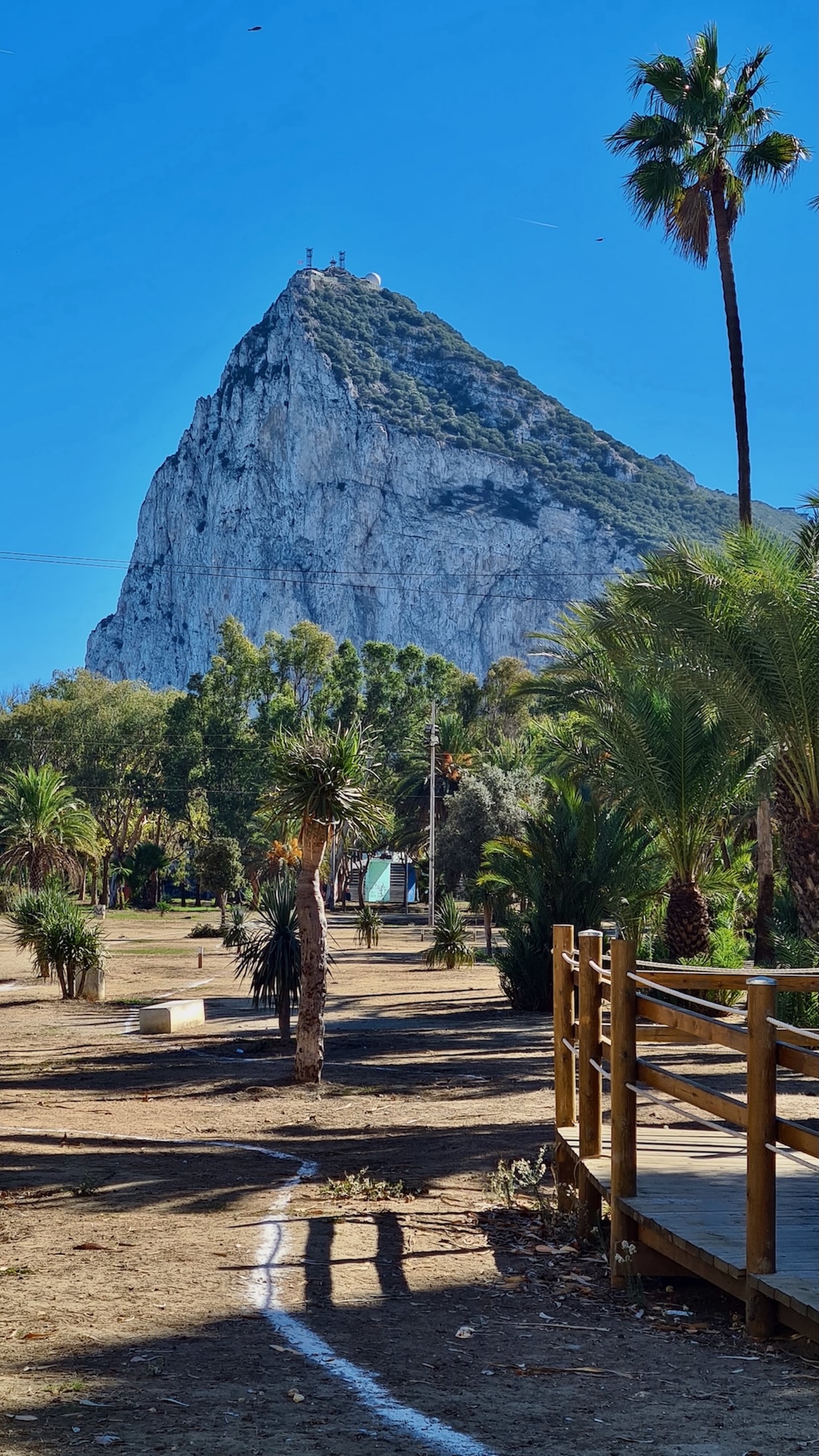 Immer wieder faszinierend dieser Blick